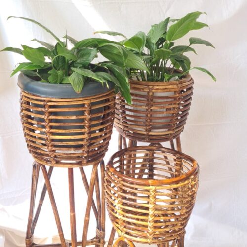 Cane & Bamboo Crafts